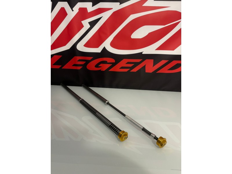 CARTUCCE FORCELLE PITBIKE CARTUCCE FORCELLE PITBIKE