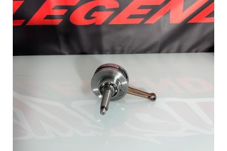 ALBERO MOTORE DAYTONA ANIMA 190 FSM