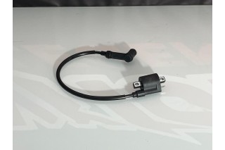 BOBINA DI ACCENSIONE PITBIKE, MINIGP