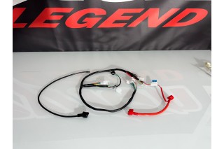 IMPIANTO ELETTRICO ELECTRIC START PITBIKE, MINIGP,...