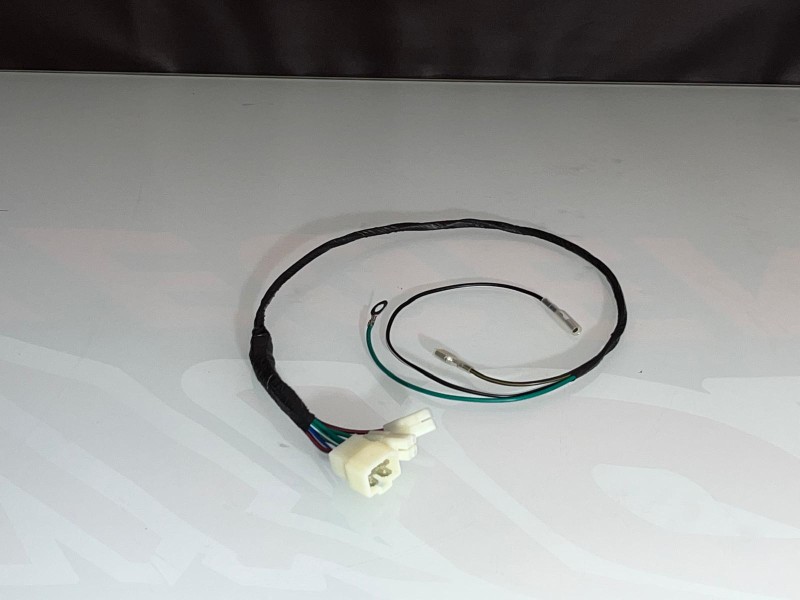IMPIANTO ELETTRICO MOTORE ZS190, DAYTONA ANIMA 190 IMPIANTO ELETTRICO MOTORE ZS190, DAYTONA ANIMA 190