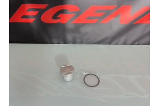 PISTONE 62MM DAYTONA ANIMA 190 FSM