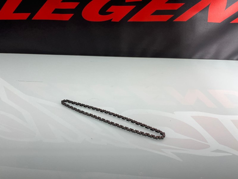 CATENA DISTRIBUZIONE MOTORE ZS190, DAYTONA 190 CATENA DISTRIBUZIONE MOTORE ZS190, DAYTONA 190