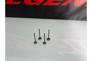VALVOLA DI ASPIRAZIONE E SCARICO PER MOTORE DAYTONA...