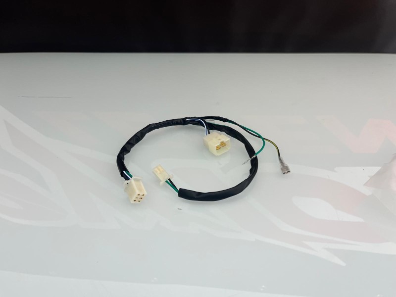 IMPIANTO ELETTRICO MOTORE ZS 190, DAYTONA ANIMA 190