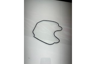 ORING TESTA CILINDRO MOTORE ZS190, DAYTONA ANIMA 190