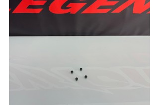 GOMMINI PARAOLI VALVOLE MOTORE ZS190, DAYTONA ANIMA 190
