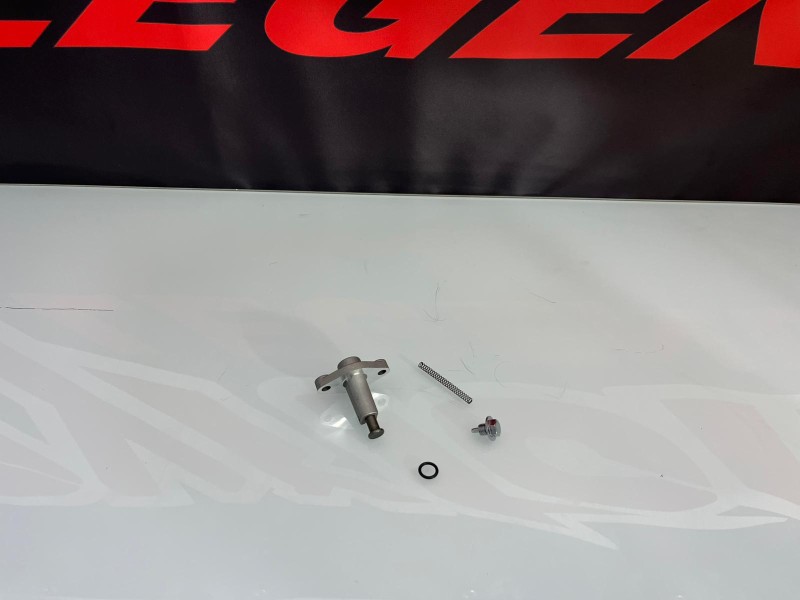copy of CATENA DISTRIBUZIONE MOTORE ZS190, DAYTONA 190 copy of CATENA DISTRIBUZIONE MOTORE ZS190, DAYTONA 190