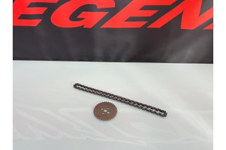 DISTRIBUZIONE KIT MOTORE ZS190