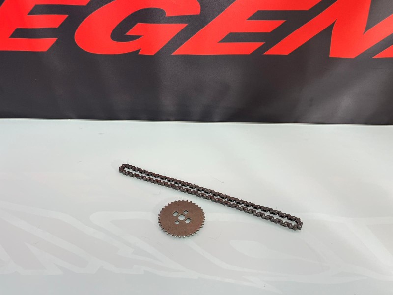 DISTRIBUZIONE KIT MOTORE ZS190 DISTRIBUZIONE KIT MOTORE ZS190
