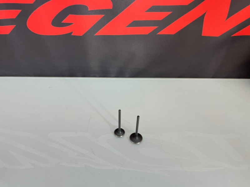 VALVOLE ASPIRAZIONE E SCARICO MOTORE ZS190 VALVOLE ASPIRAZIONE E SCARICO MOTORE ZS190