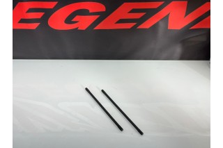 PRIGIONIERI MOTORE ZS190, DAYTONA ANIMA 190 FSM