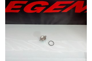 TAPPO FILTRO OLIO DAYTONA ANIMA 190 - 212 FSM, MOTORE...
