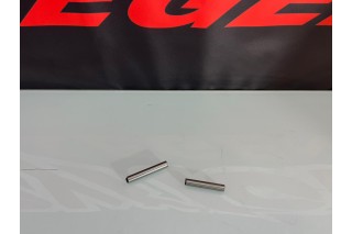 SPINOTTI BILANCIERI MOTORE ZS190, DAYTONA ANIMA 190 FSM
