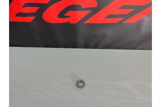 INGRANAGGIO POMPA OLIO DAYTONA ZS 190 FSM, MOTORE ZS190