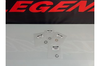 RASAMENTI KIT ZS 190 E DAYTONA PITBIKE, MINIGP