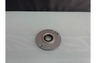 PIATTO ACCENSIONE (ORING e PARAOLI) ZS 190 PITBIKE,...