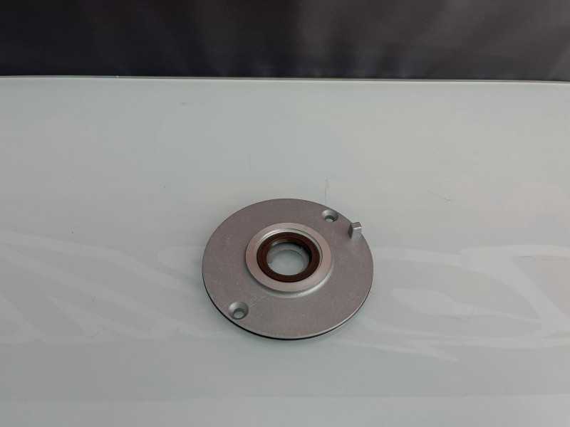 PIATTO ACCENSIONE (ORING e PARAOLI) ZS 190 PITBIKE, MINIGP