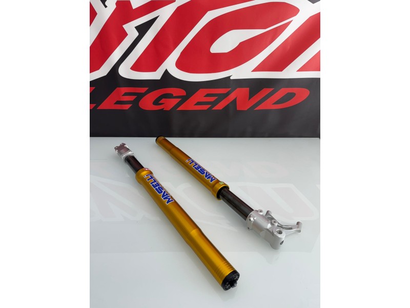 FORCELLE MASELLI 650 E 710 PITBIKE, MINIGP