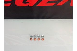 DADI TESTA DAYTONA ZS 190 FSM, MOTORE ZS190, DAYTONA...