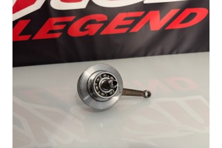 ALBERO MOTORE ZS 190