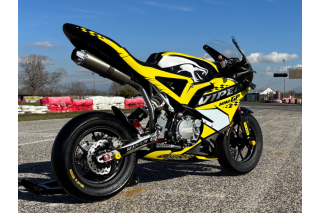 MINIGP AYRTON VIPER GP