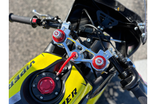 MINIGP AYRTON VIPER GP