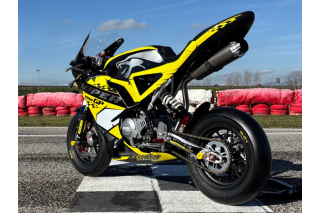 private sell MINIGP AYRTON VIPER GP 2026