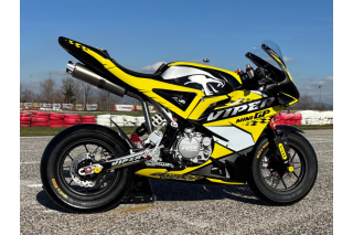 private sell MINIGP AYRTON VIPER GP 2026