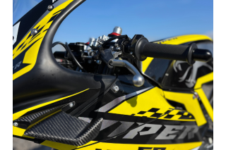 private sell MINIGP AYRTON VIPER GP 2026