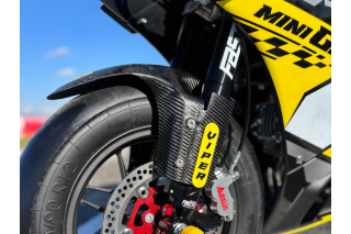private sell MINIGP AYRTON VIPER GP 2026