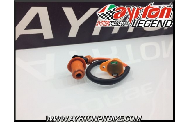 Coil For High Performance Pitbike Engines With Orange Trim