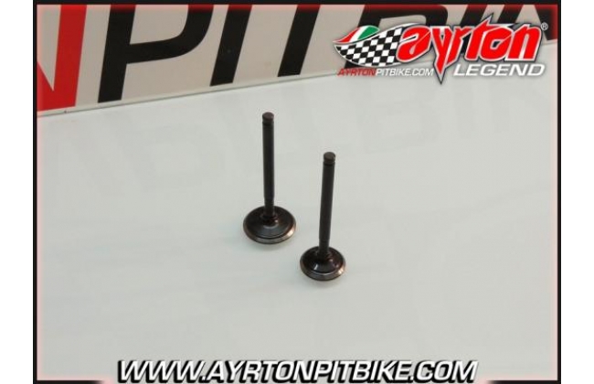 Intake And Exhaust Valves Zongshen Zs155 Gpx Standard Pit Bike
